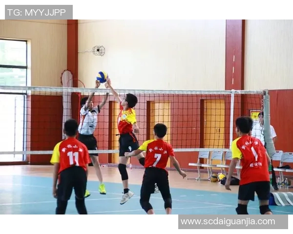 重庆排球队的崛起与发展：探索排球运动中的团队意识与精神力量