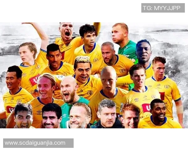 埃尔夫斯与天狼星对决前瞻分析及推荐策略详解