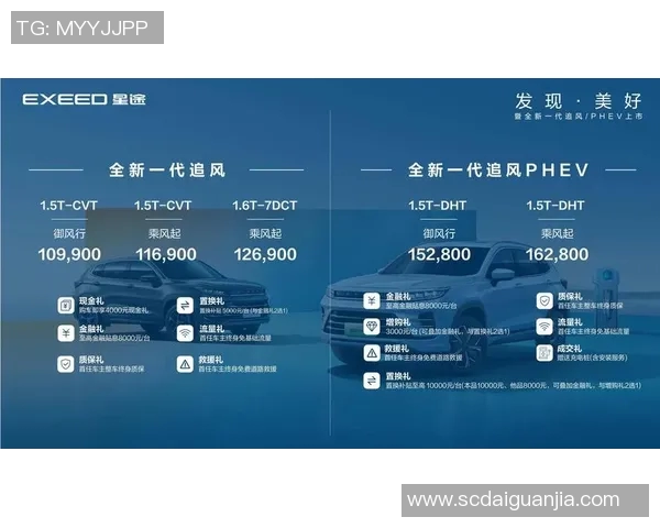 上海排球队逆袭之路：重塑战术与团队精神的全新探索