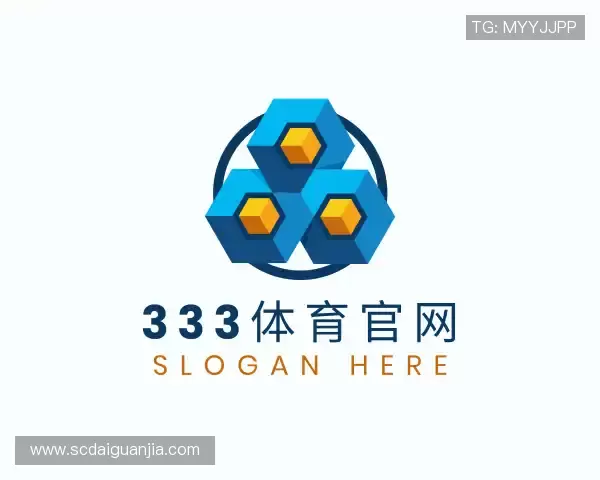 解读333体育官网