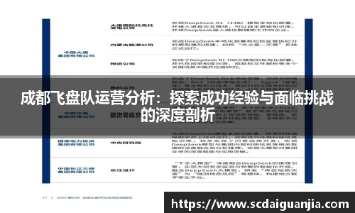 成都飞盘队运营分析:探索成功经验与面临挑战的深度剖析